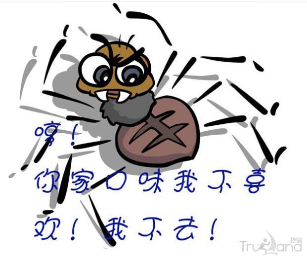 百度蜘蛛Spider会优先抓取什么样的网站